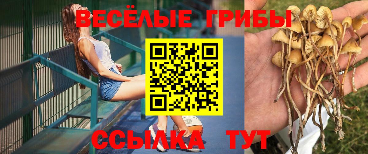 Псилоцибиновые грибы Psilocybine cubensis  Вход с VPN  Качканар 